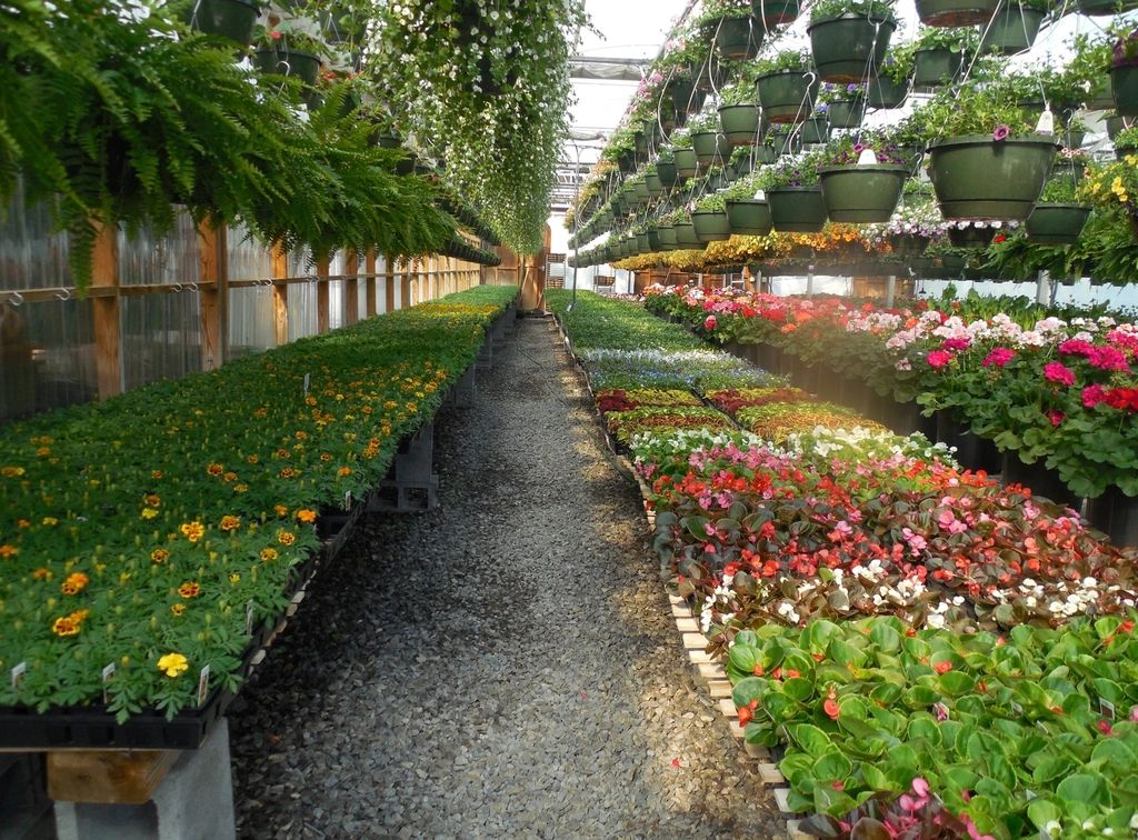 The planted gardens on the grounds